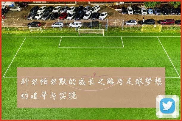 科尔帕尔默的成长之路与足球梦想的追寻与实现