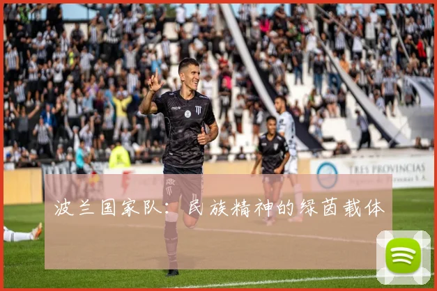 波兰国家队：民族精神的绿茵载体