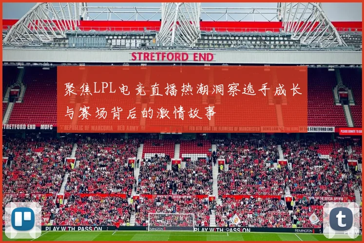聚焦LPL电竞直播热潮洞察选手成长与赛场背后的激情故事