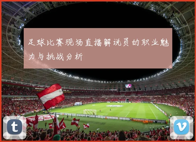 足球比赛现场直播解说员的职业魅力与挑战分析