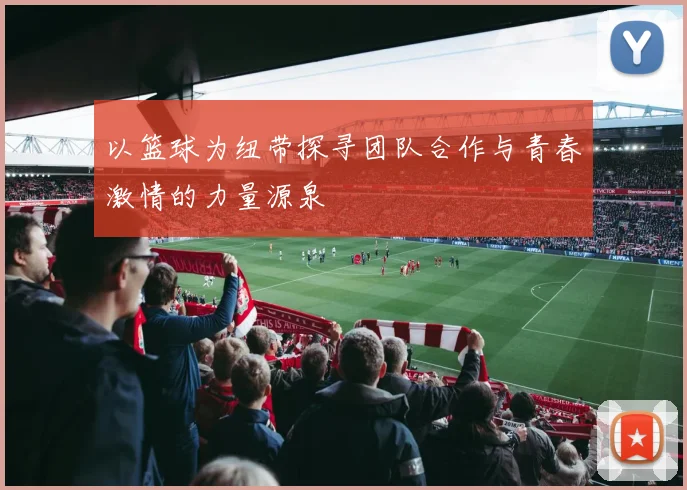 以篮球为纽带探寻团队合作与青春激情的力量源泉