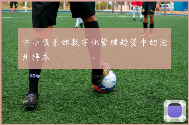 中小俱乐部数字化管理趋势中的沧州样本