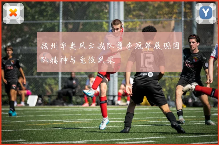 扬州华奥风云战队勇夺冠军展现团队精神与竞技风采
