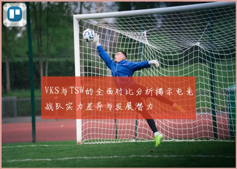 VKS与TSW的全面对比分析揭示电竞战队实力差异与发展潜力